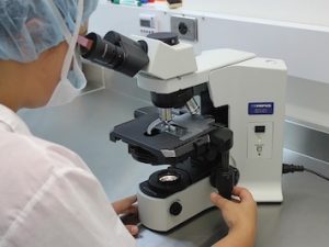 Exame Toxicológico